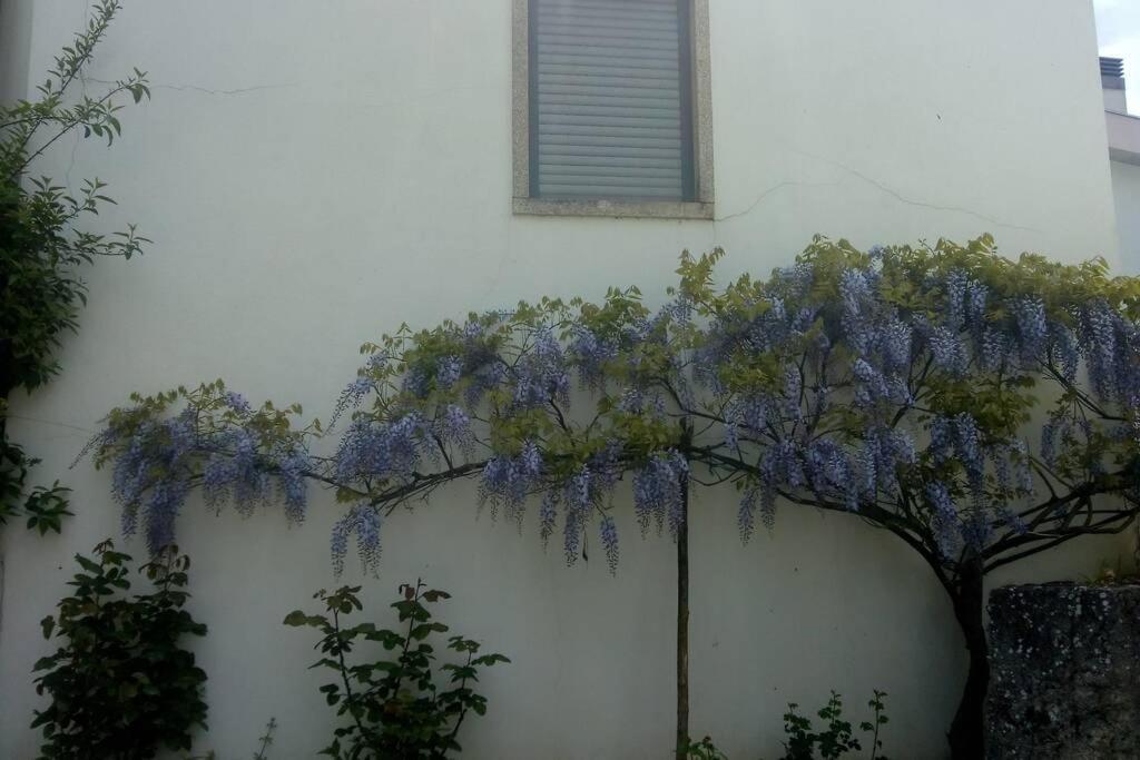 MilhãoCasa Da Oliveira公寓 外观 照片